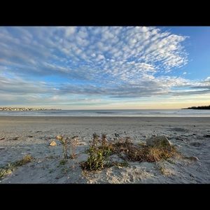 Meet your Posher, Seana